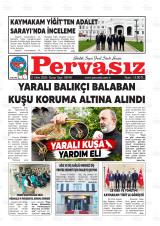 PERVASIZ