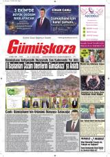GÜMÜŞKOZA
