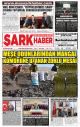 MUŞ ŞARK HABER